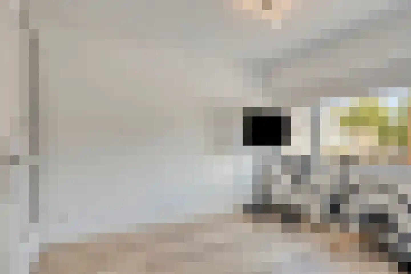 Mare 5 Pijnacker thumbnail 17