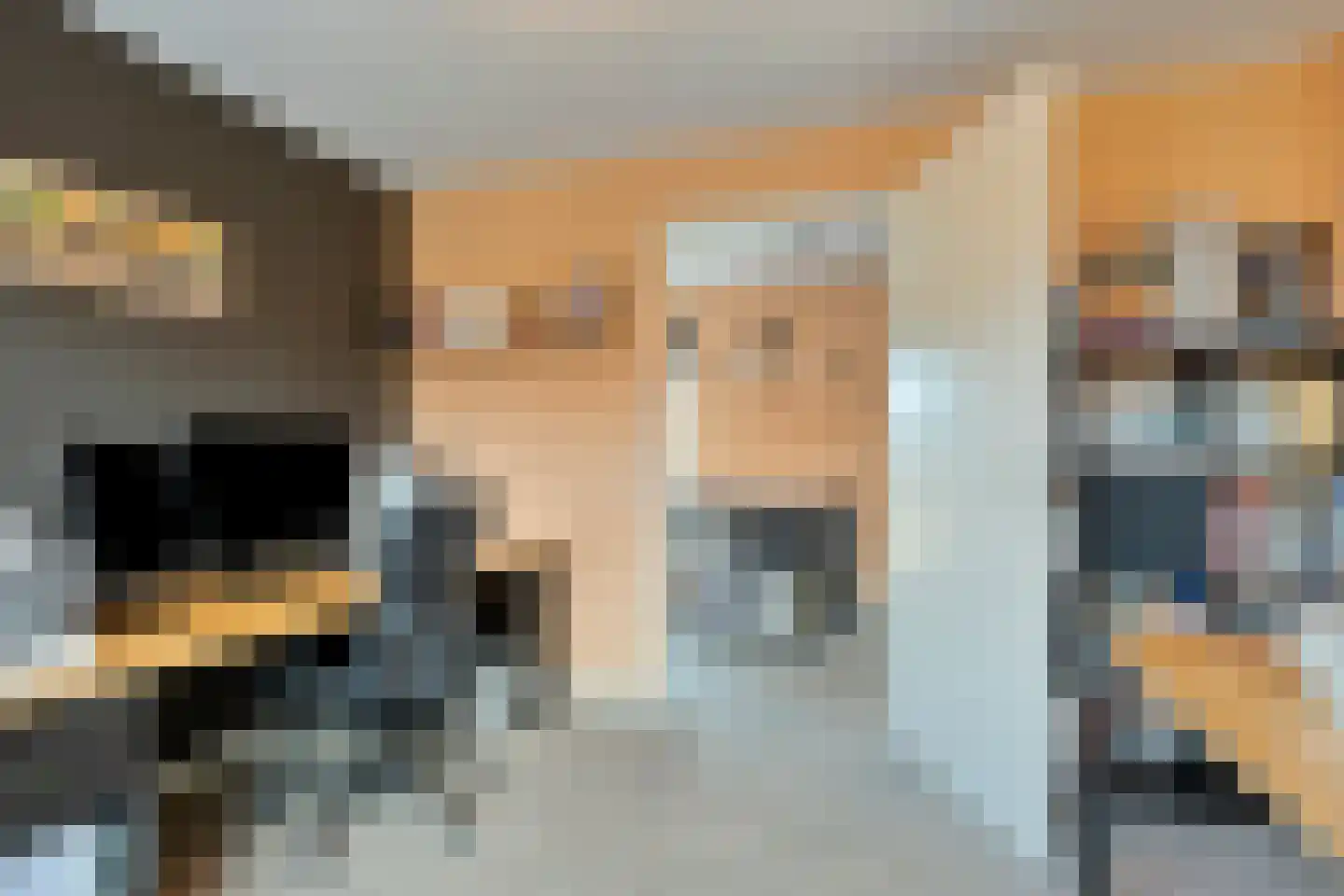 Mare 5 Pijnacker thumbnail 22