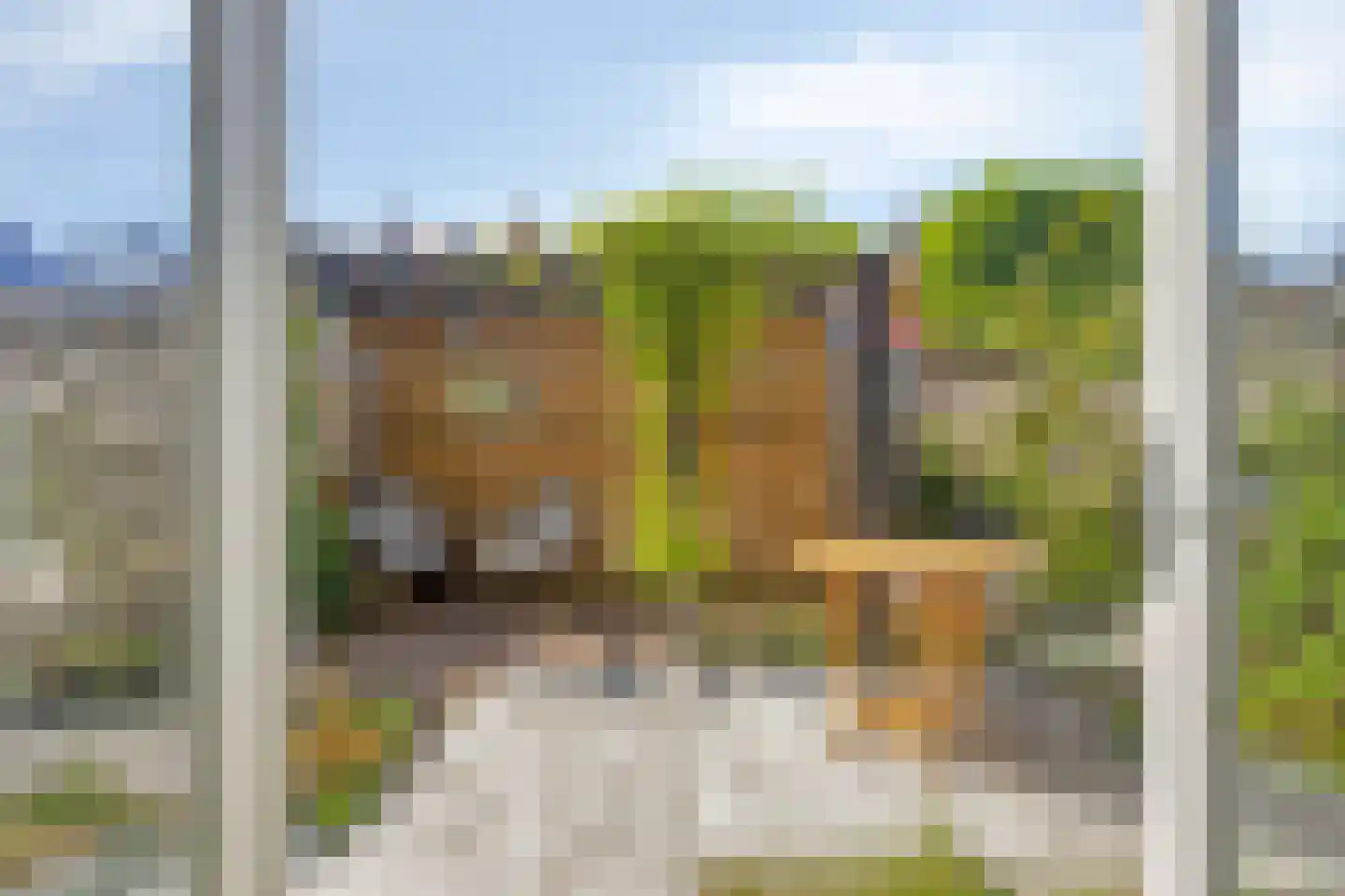 Mare 5 Pijnacker thumbnail 23