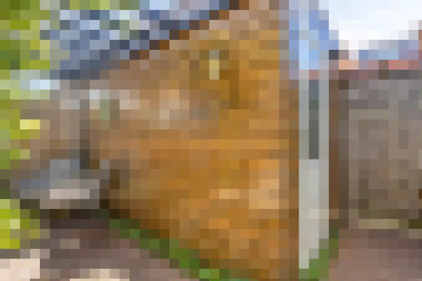 Mare 5 Pijnacker thumbnail 25
