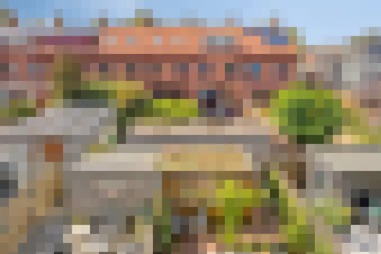 Mare 5 Pijnacker thumbnail 26