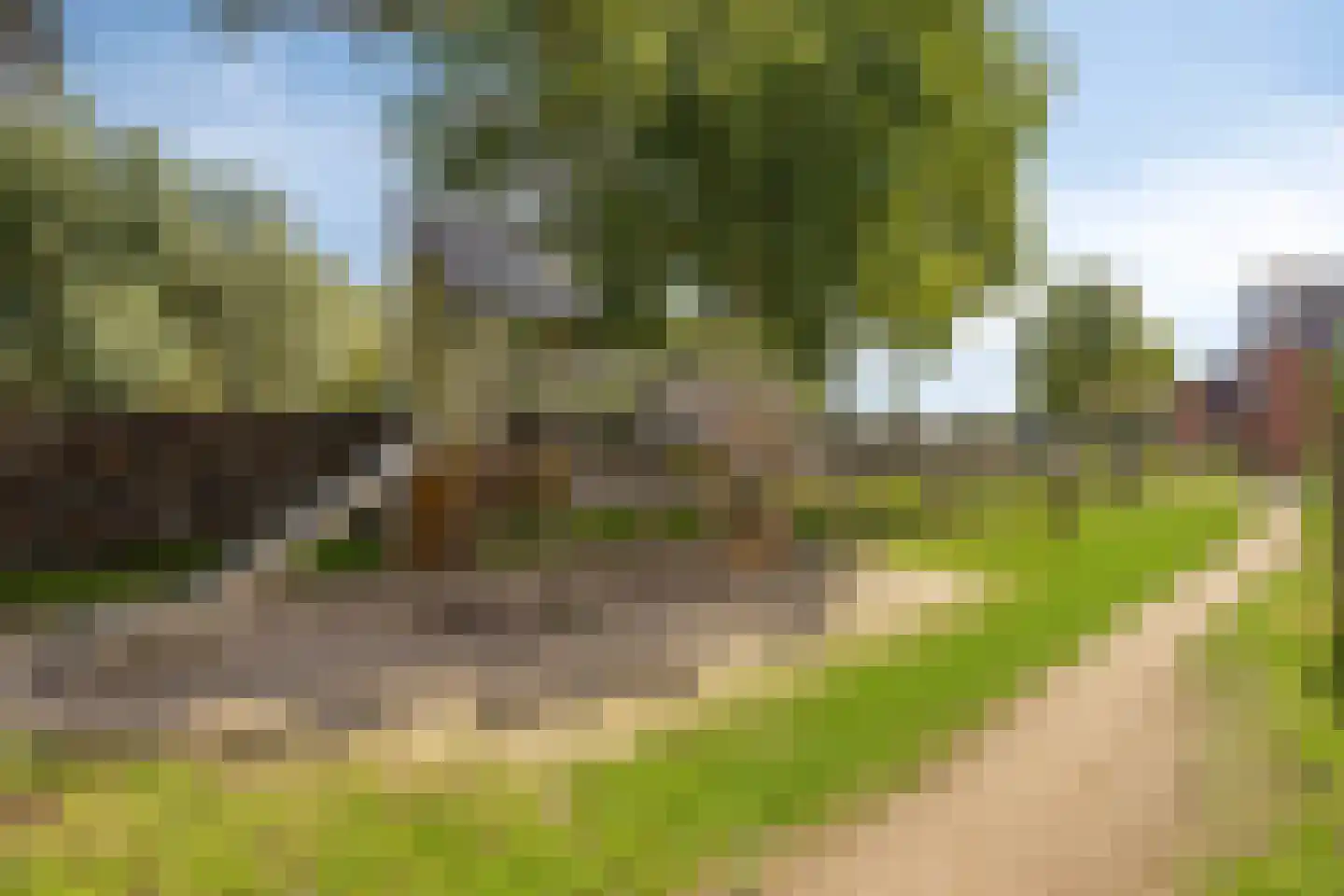 Mare 5 Pijnacker thumbnail 28