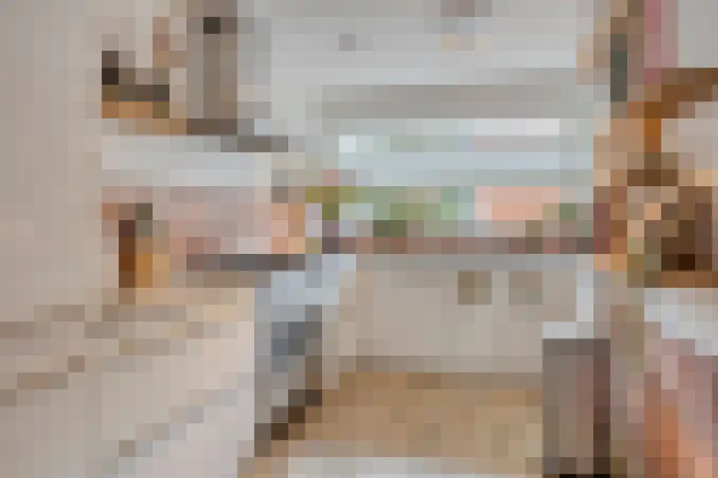 Mare 5 Pijnacker thumbnail 4