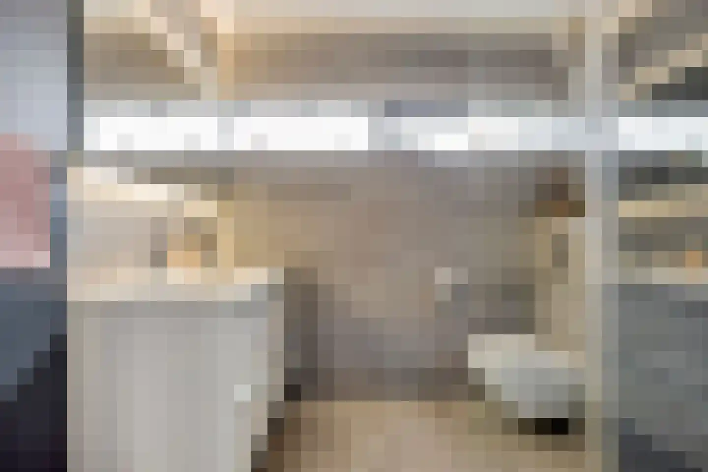 Mare 5 Pijnacker thumbnail 5