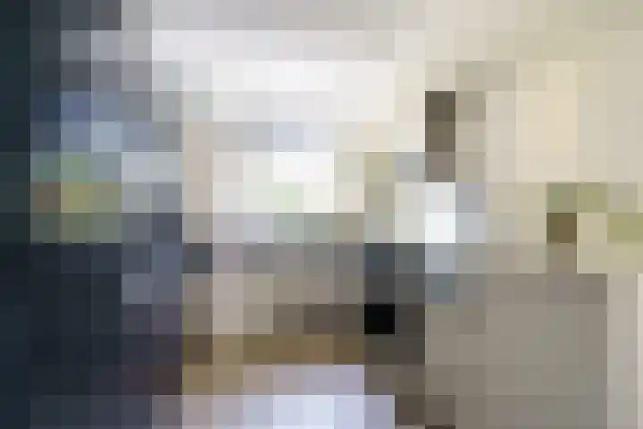 Mare 58 Pijnacker thumbnail 10