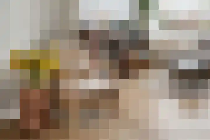 Mare 58 Pijnacker thumbnail 12