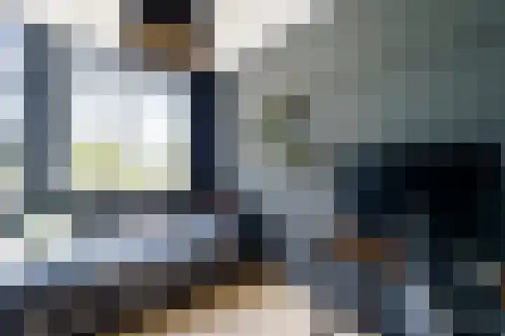 Mare 58 Pijnacker thumbnail 15