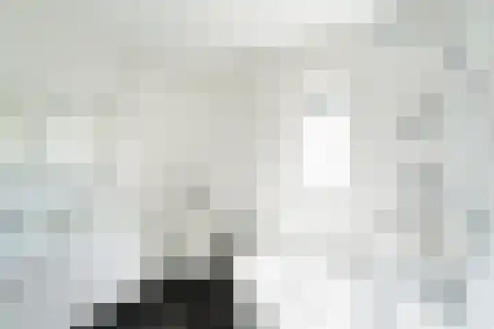 Mare 58 Pijnacker thumbnail 16