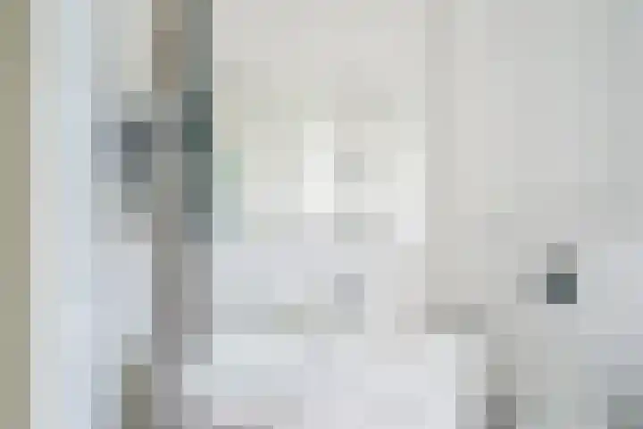 Mare 58 Pijnacker thumbnail 17