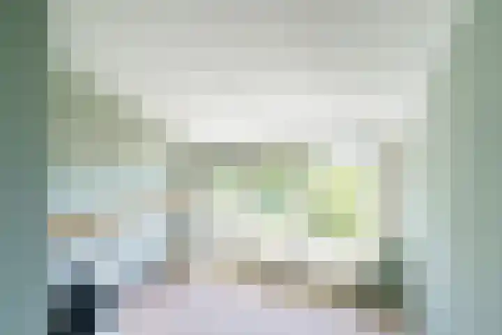 Mare 58 Pijnacker thumbnail 19