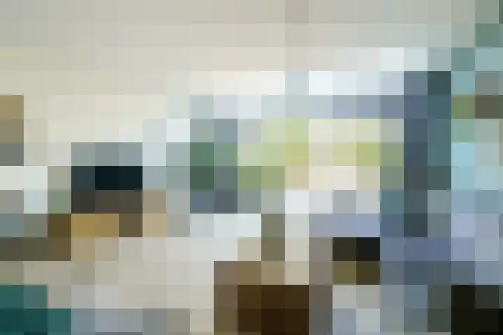 Mare 58 Pijnacker foto 2