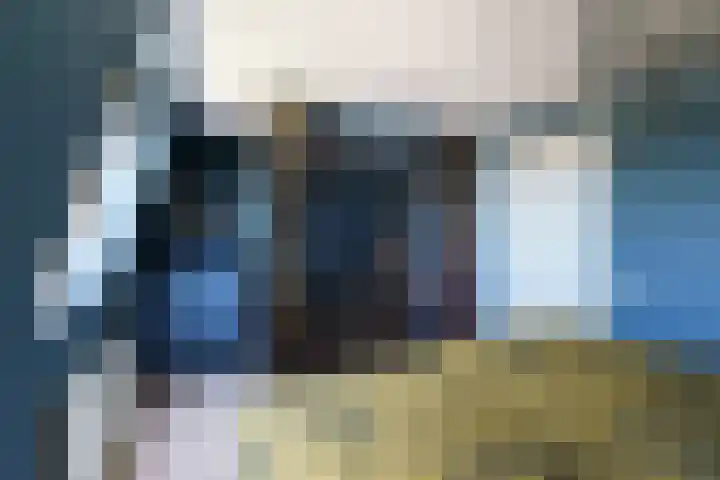 Mare 58 Pijnacker thumbnail 21