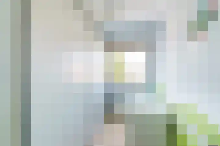 Mare 58 Pijnacker thumbnail 22