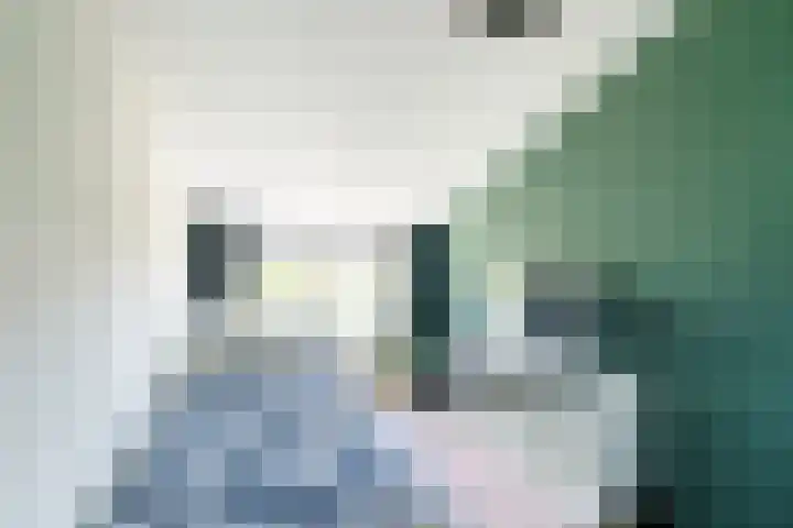 Mare 58 Pijnacker thumbnail 23