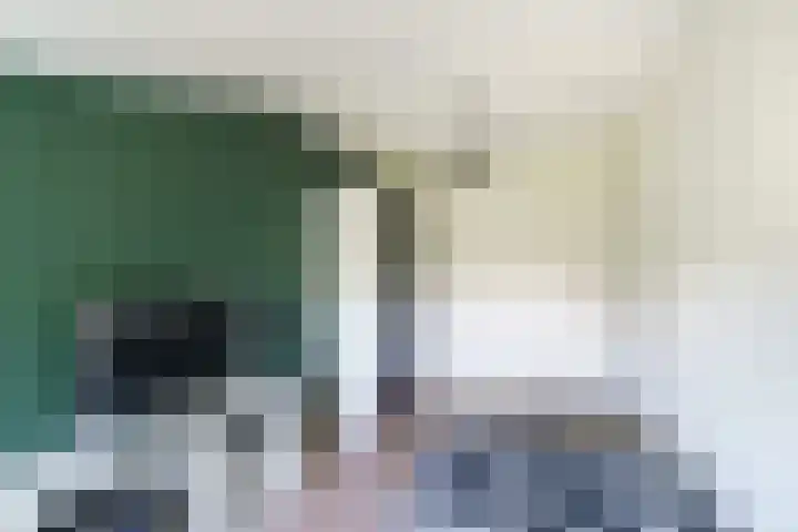 Mare 58 Pijnacker thumbnail 24