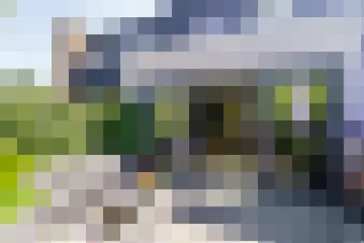 Mare 58 Pijnacker thumbnail 26