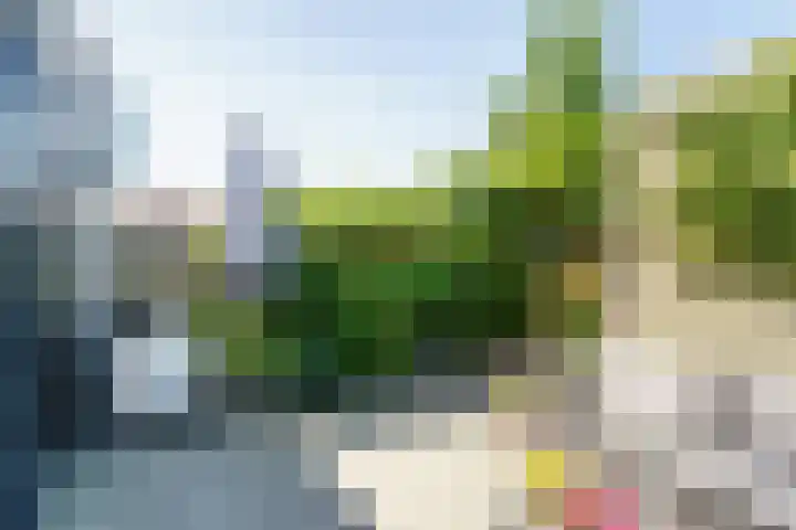 Mare 58 Pijnacker thumbnail 27