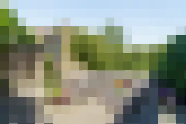 Mare 58 Pijnacker thumbnail 28