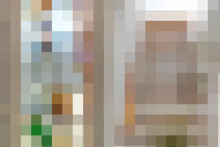 Mare 58 Pijnacker thumbnail 29