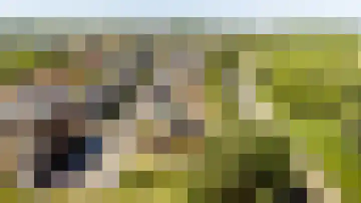 Mare 58 Pijnacker thumbnail 31