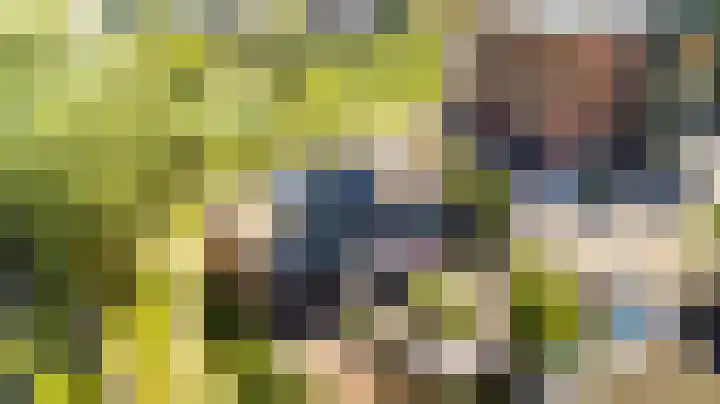 Mare 58 Pijnacker thumbnail 33