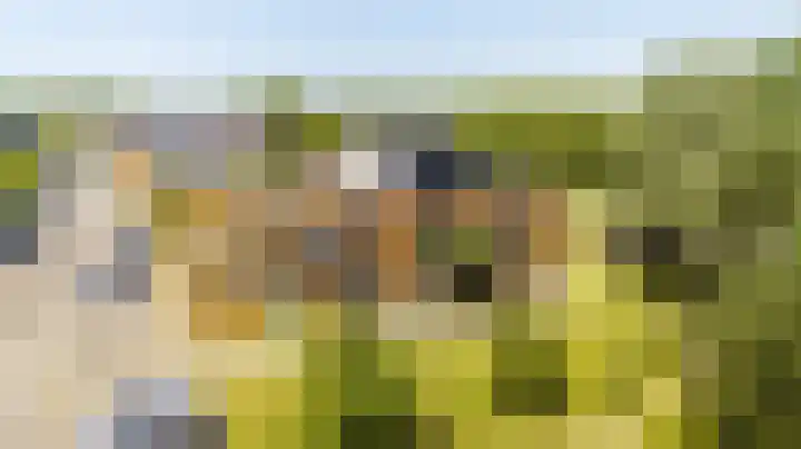 Mare 58 Pijnacker thumbnail 34