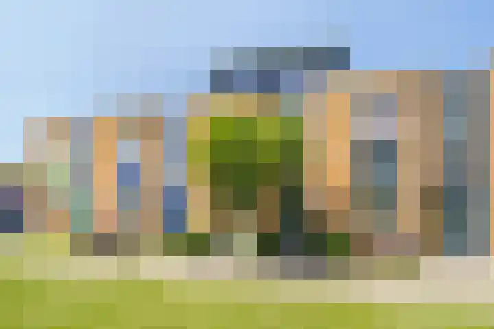 Mare 58 Pijnacker thumbnail 35