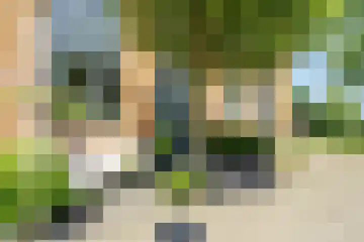 Mare 58 Pijnacker thumbnail 4