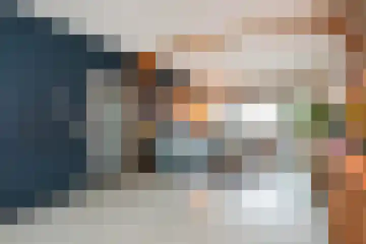 Mare 58 Pijnacker thumbnail 6