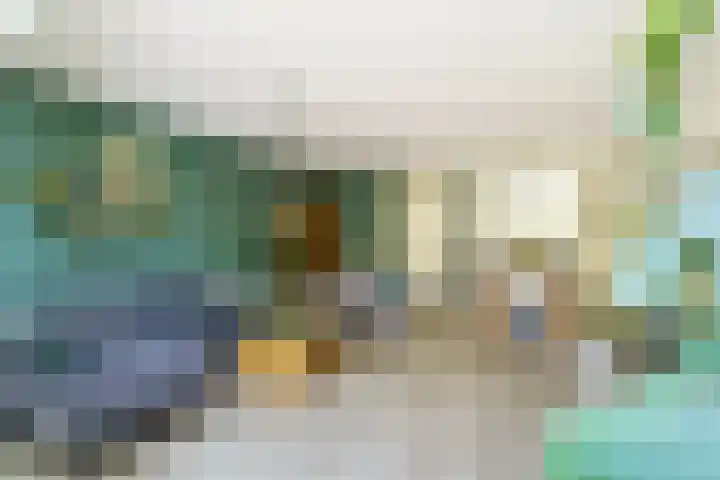 Mare 58 Pijnacker thumbnail 7