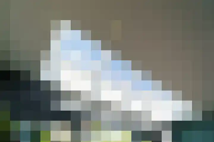 Mare 58 Pijnacker thumbnail 8