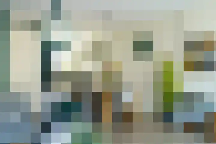 Mare 58 Pijnacker thumbnail 9