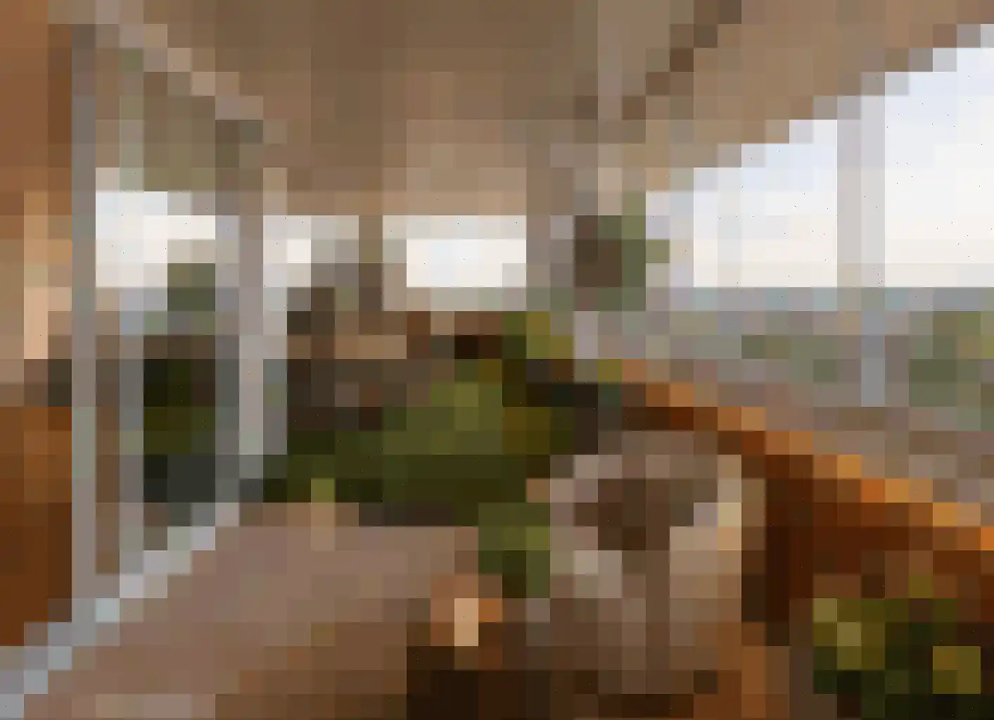 Mare 78 Pijnacker thumbnail 19