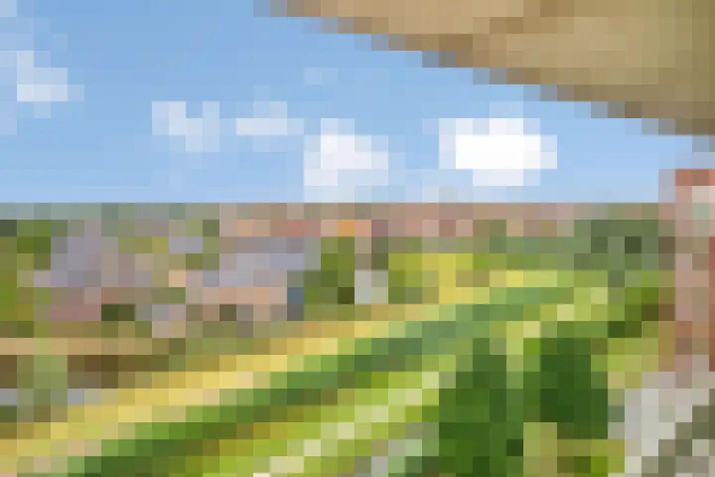 Mare 78 Pijnacker thumbnail 52