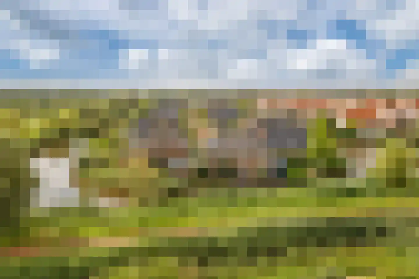 Mare 78 Pijnacker thumbnail 53