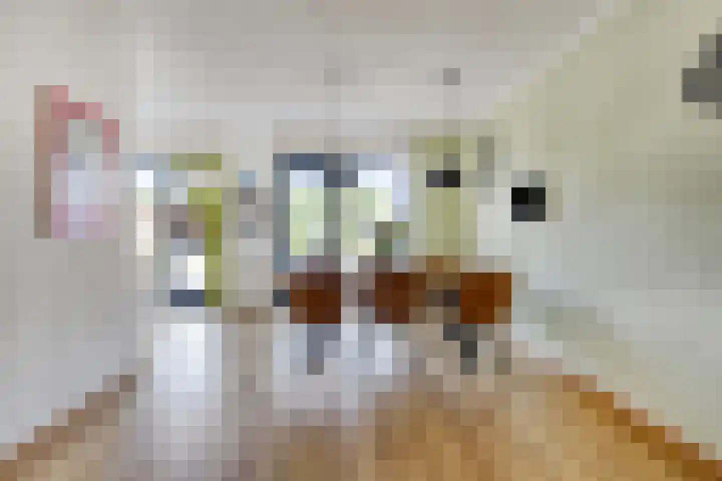 Marechausseestraat 4 Schalkhaar thumbnail 15