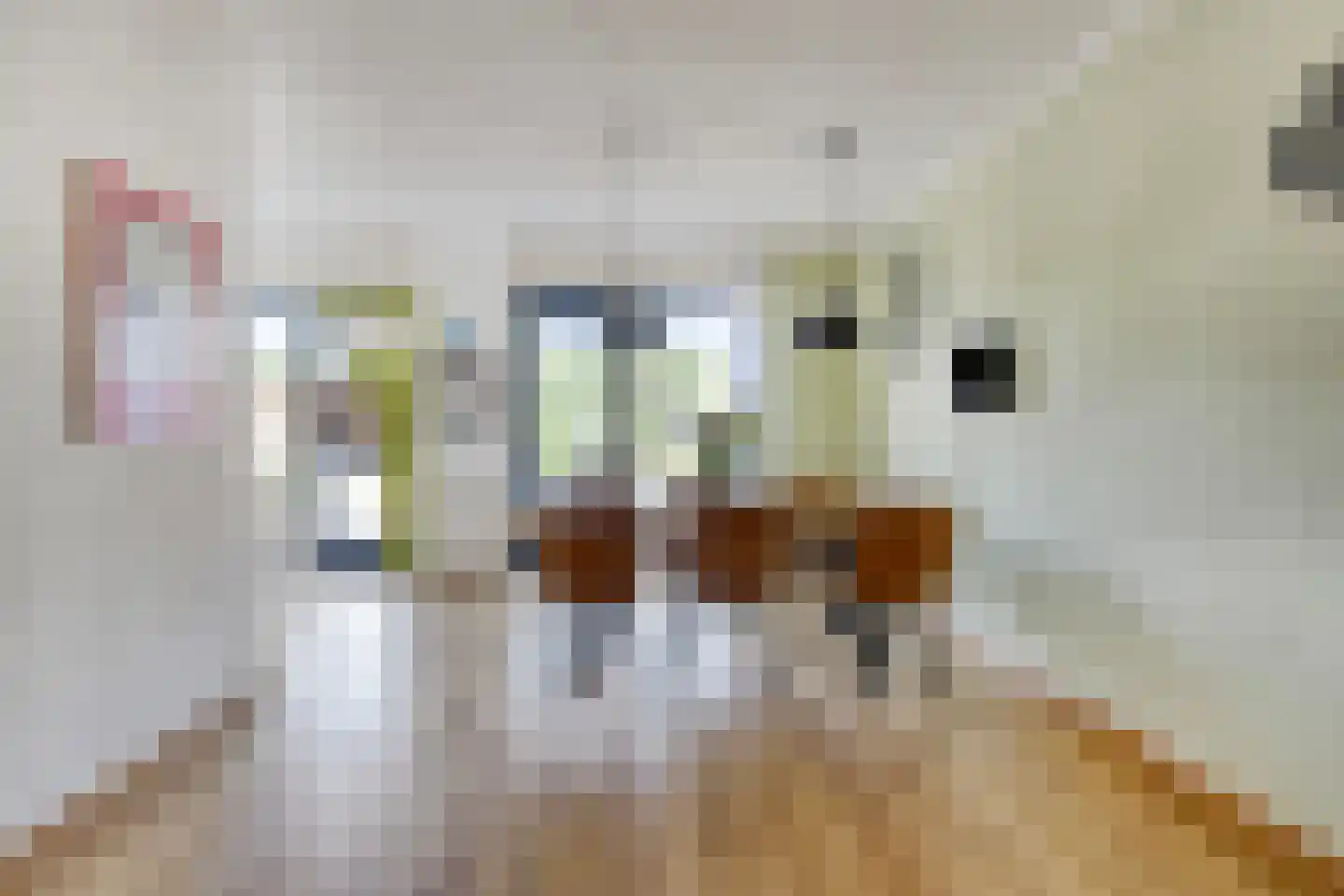 Marechausseestraat 4 Schalkhaar thumbnail 15