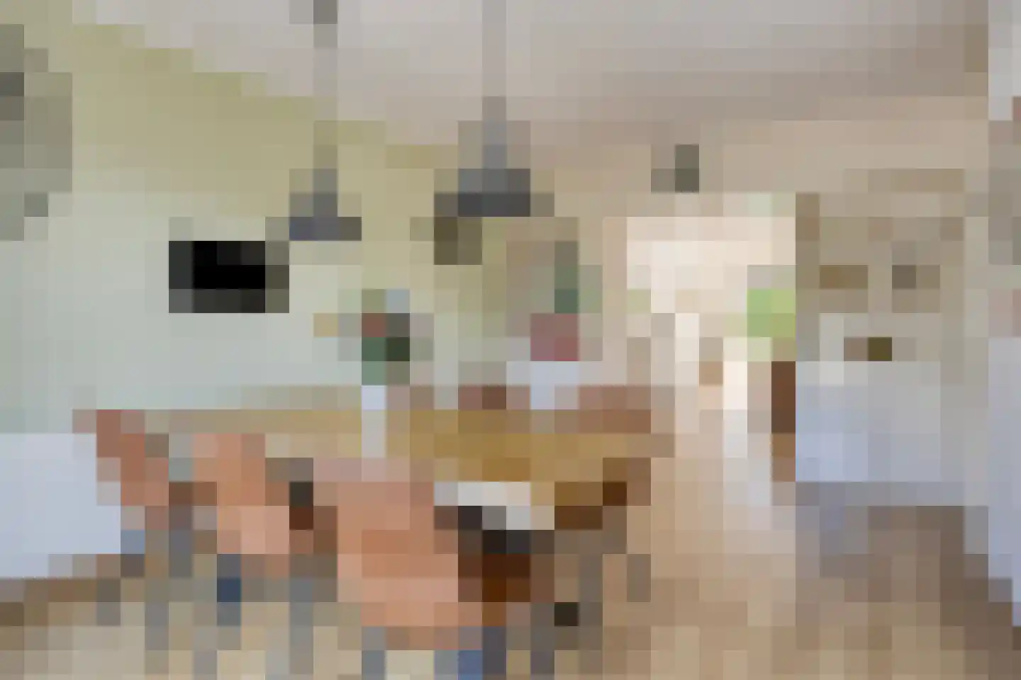 Marechausseestraat 4 Schalkhaar thumbnail 16
