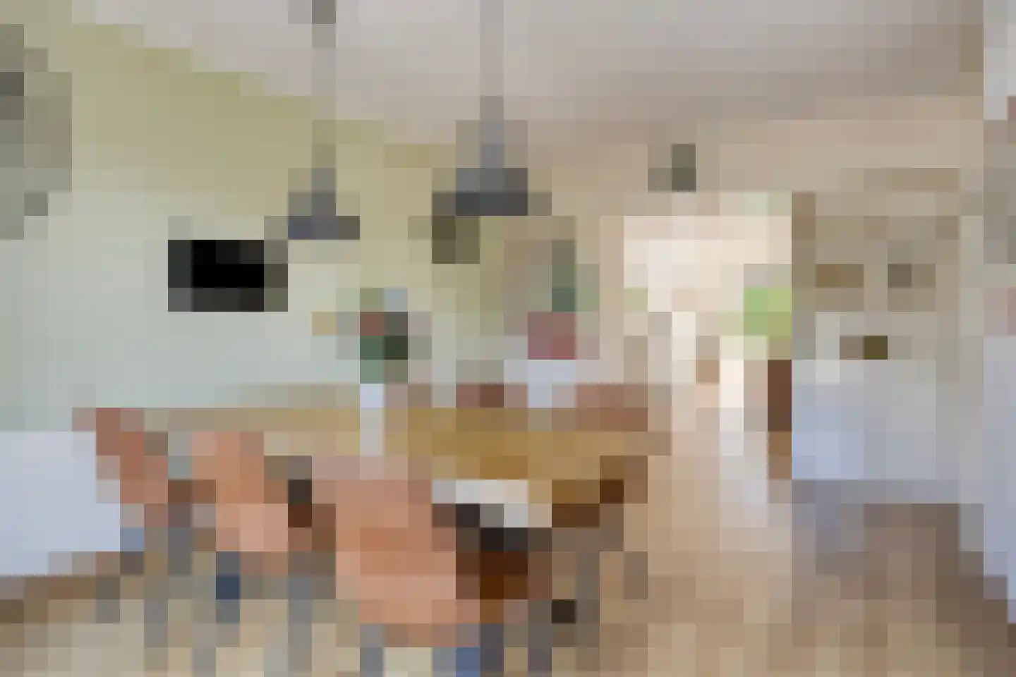 Marechausseestraat 4 Schalkhaar thumbnail 16