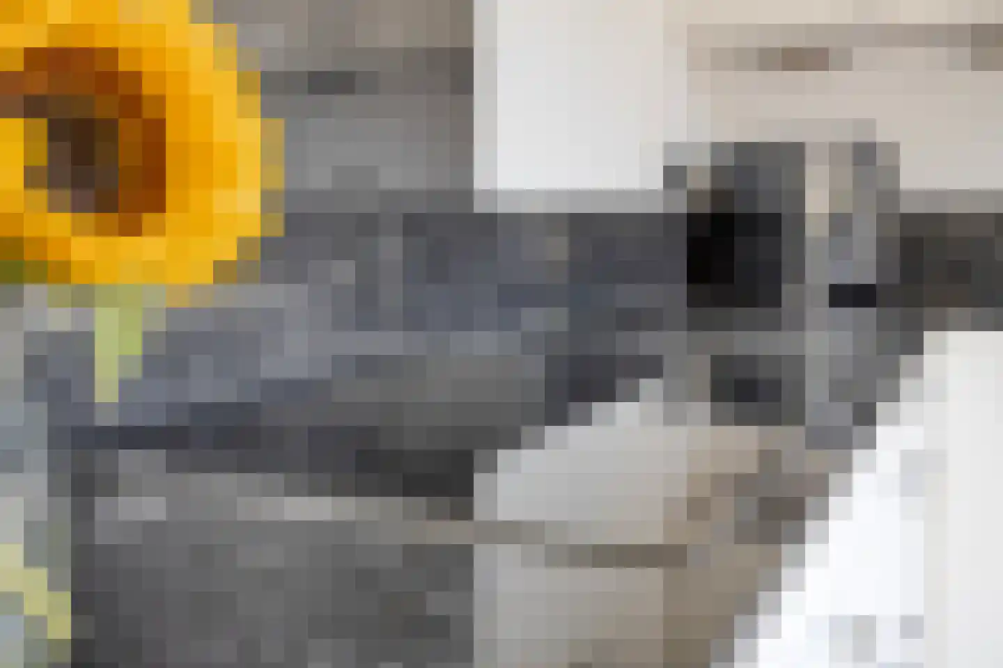 Marechausseestraat 4 Schalkhaar thumbnail 20