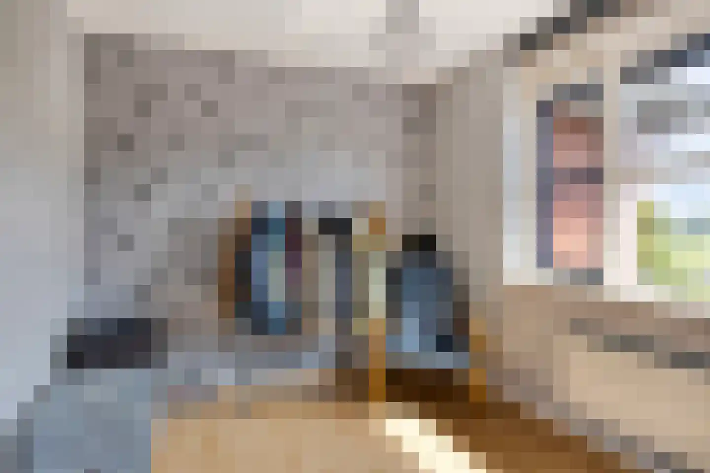 Marechausseestraat 4 Schalkhaar thumbnail 26