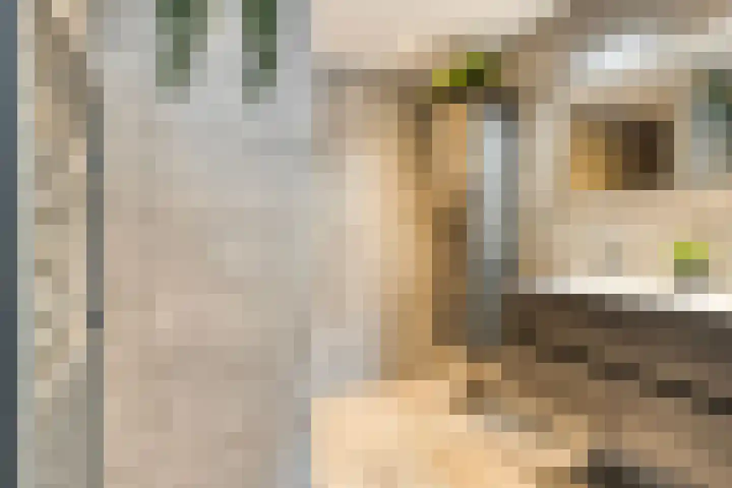 Marechausseestraat 4 Schalkhaar thumbnail 27