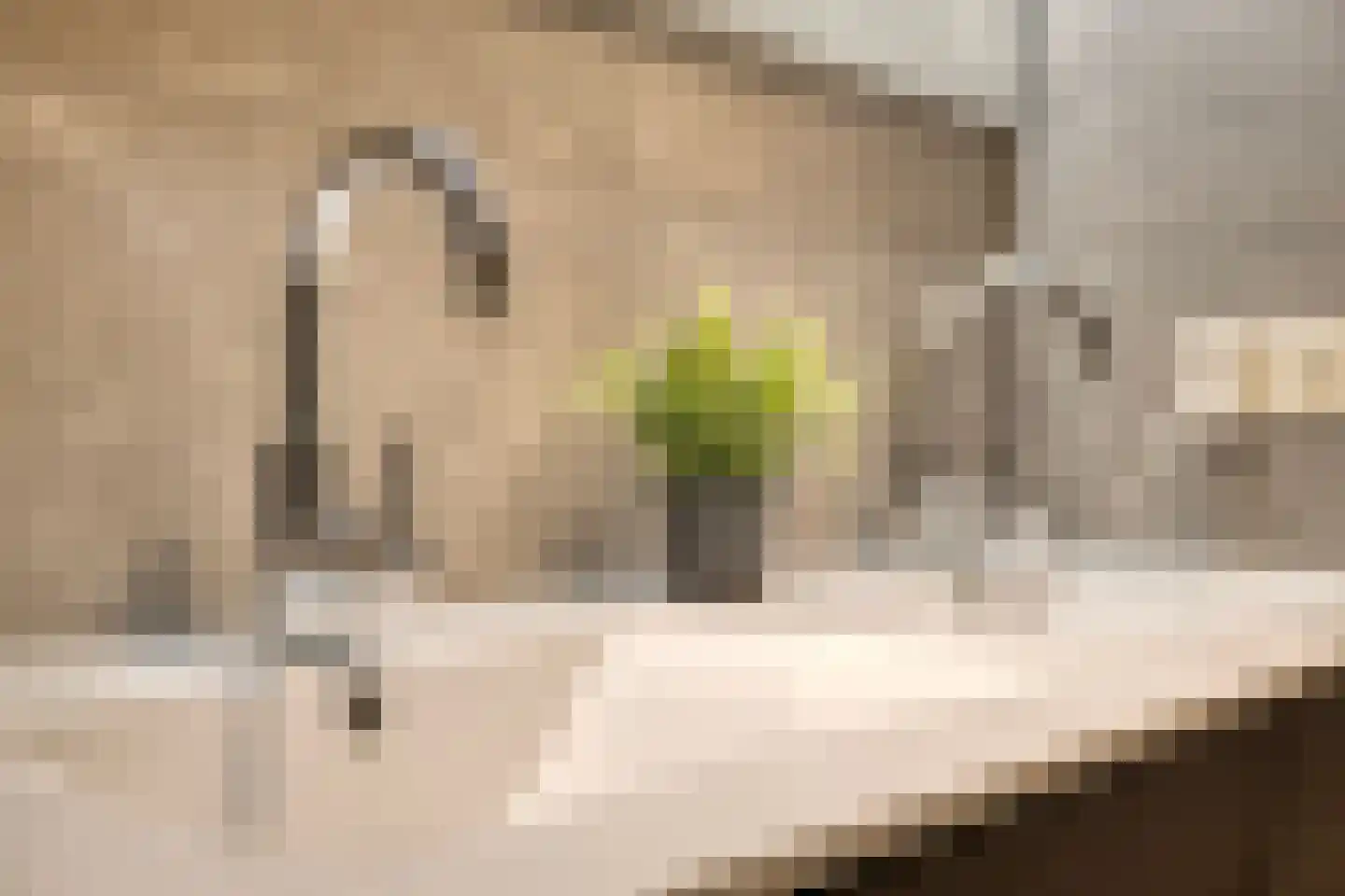 Marechausseestraat 4 Schalkhaar thumbnail 29