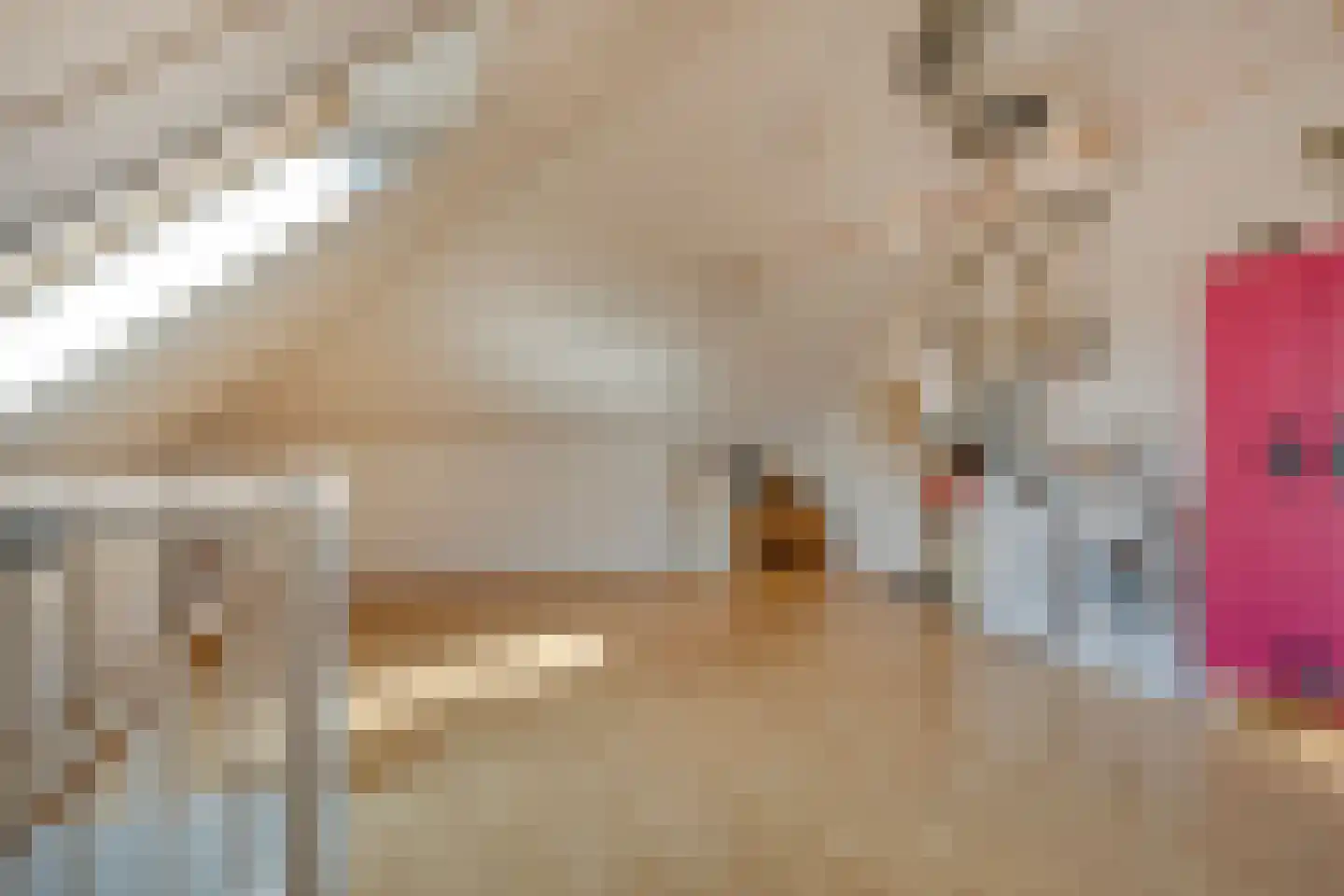 Marechausseestraat 4 Schalkhaar thumbnail 31