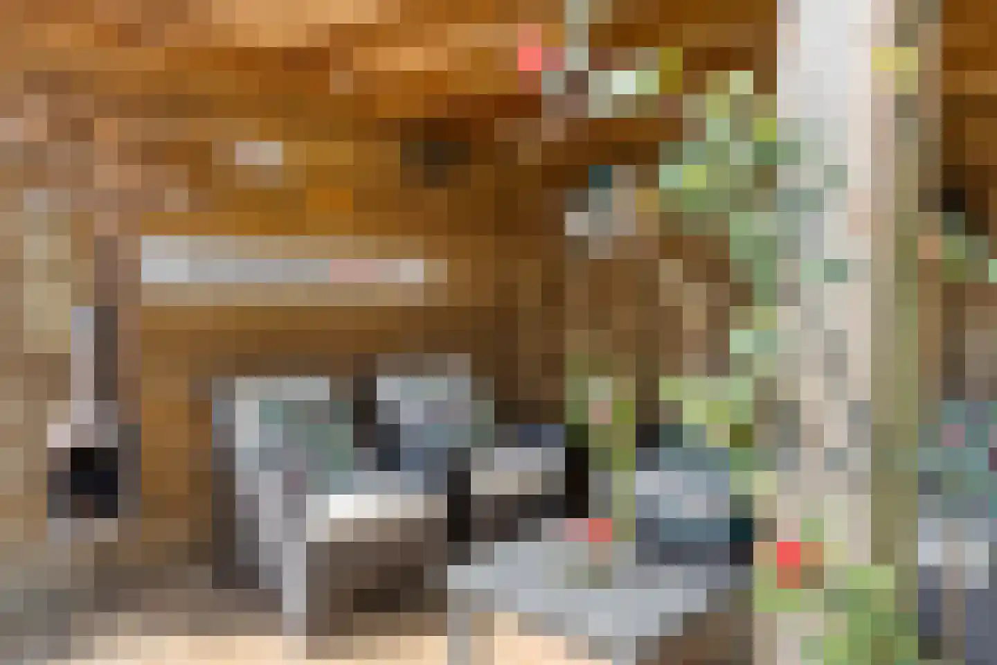 Marechausseestraat 4 Schalkhaar thumbnail 36