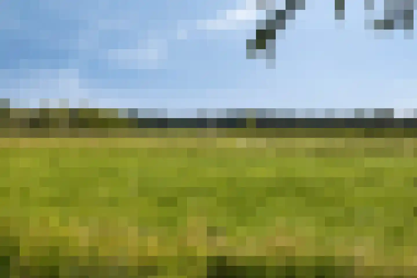 Marechausseestraat 4 Schalkhaar thumbnail 5