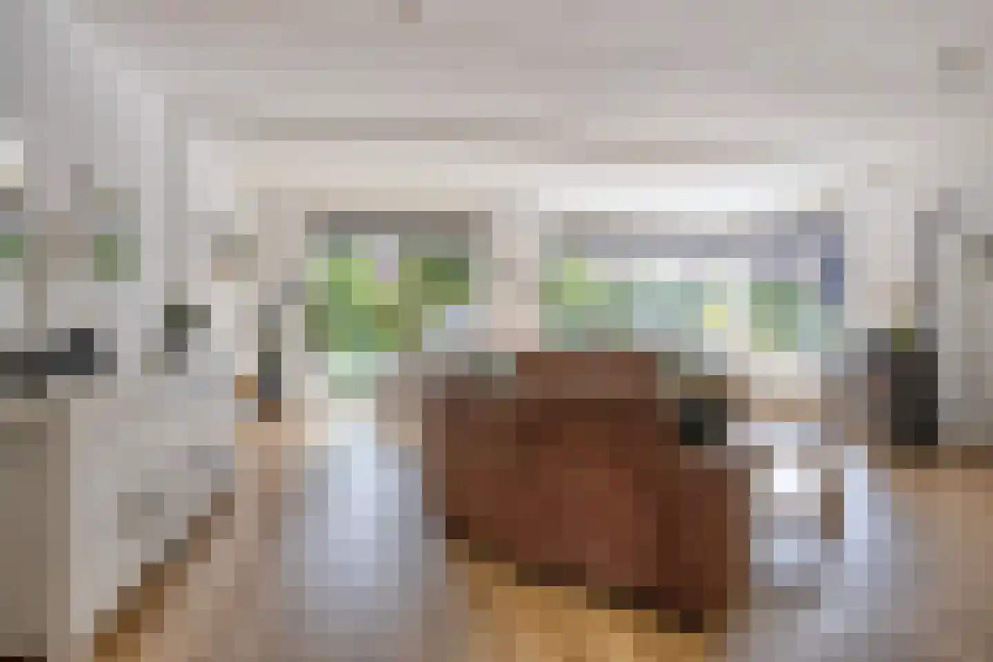 Marechausseestraat 4 Schalkhaar thumbnail 7