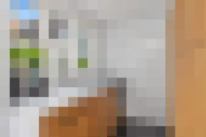 Maredijk 103 Leiden thumbnail 16