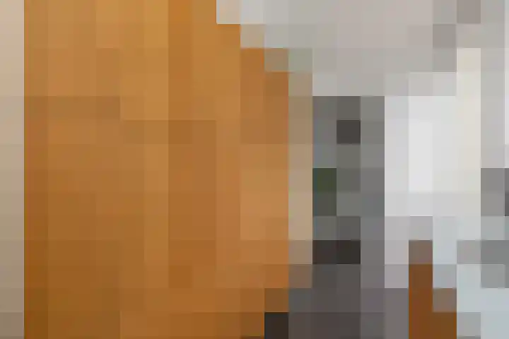 Maredijk 103 Leiden thumbnail 18