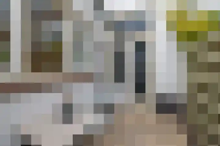 Maredijk 103 Leiden thumbnail 20